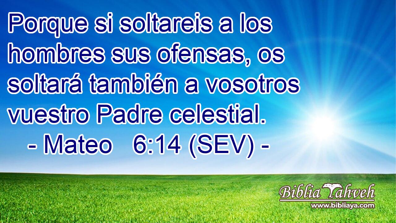 Porque si soltareis a los hombres sus ofensas, os soltará también a vosotros vuestro Padre celestial.