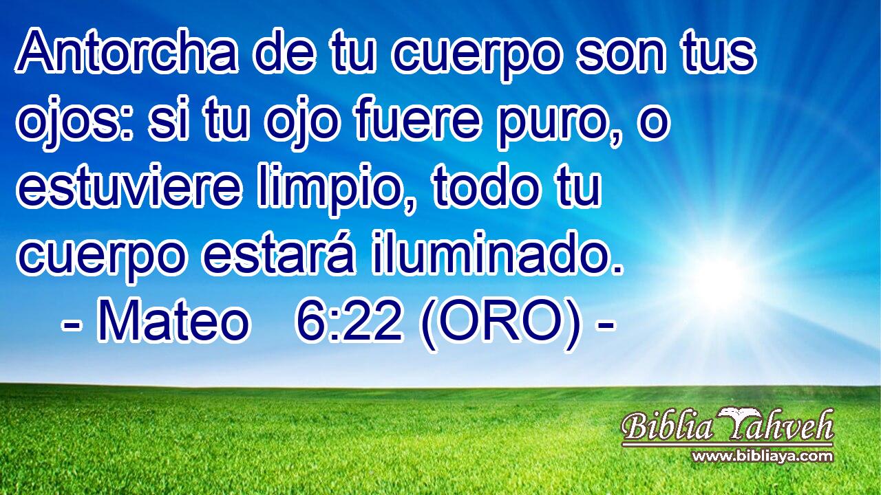  Antorcha de tu cuerpo son tus ojos: si tu ojo fuere puro, o estuviere limpio, todo tu cuerpo estará iluminado. 