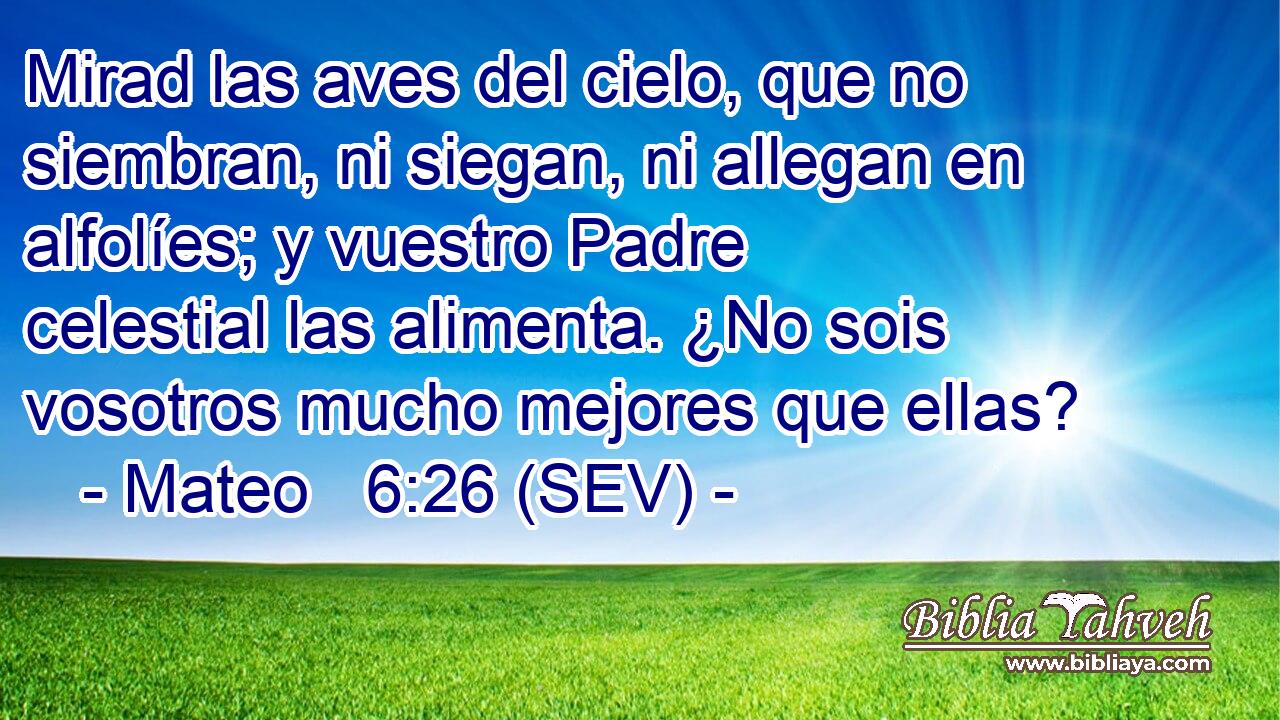 Mirad las aves del cielo, que no siembran, ni siegan, ni allegan en alfolíes; y vuestro Padre celestial las alimenta. ¿No sois vosotros mucho mejores que ellas?