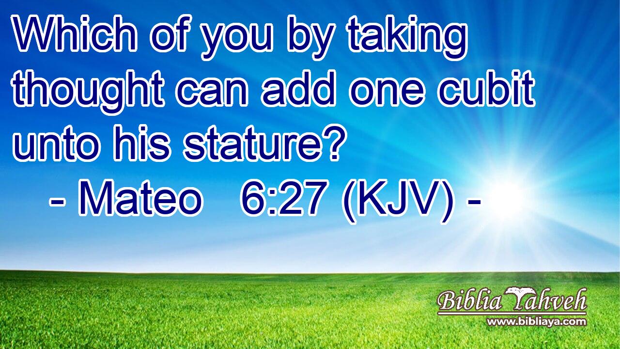Which of you by taking thought can add one cubit unto his stature?