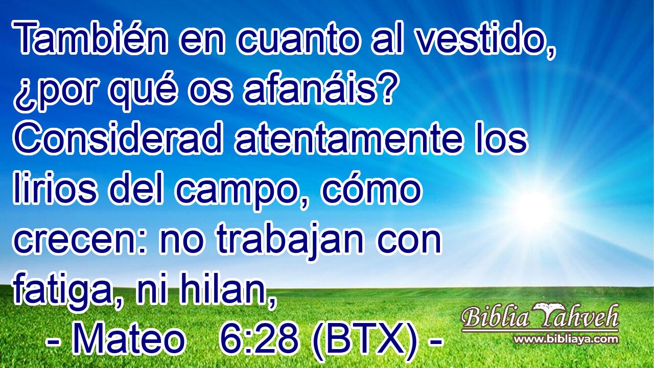 También en cuanto al vestido, ¿por qué os afanáis? Considerad atentamente los lirios del campo, cómo crecen: no trabajan con fatiga, ni hilan,