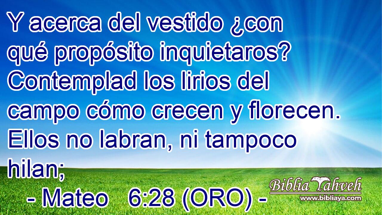  Y acerca del vestido ¿con qué propósito inquietaros? Contemplad los lirios del campo cómo crecen y florecen. Ellos no labran, ni tampoco hilan; 
