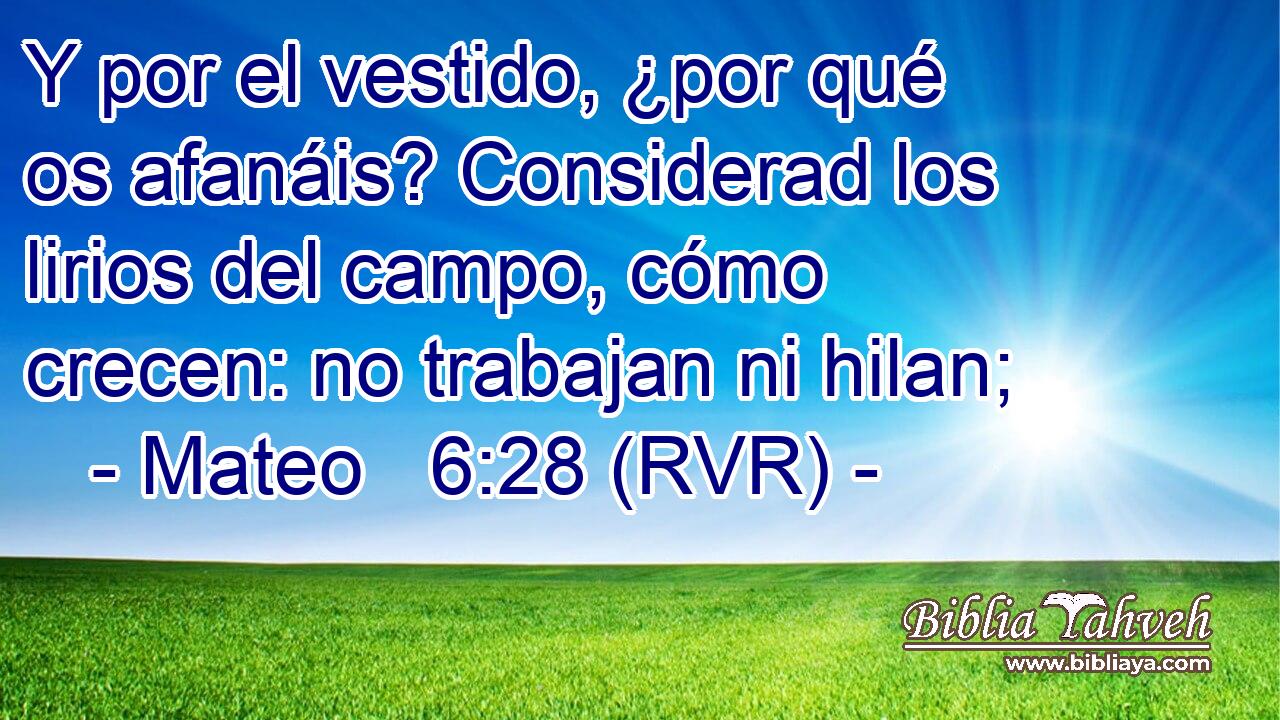 Y por el vestido, ¿por qué os afanáis? Considerad los lirios del campo, cómo crecen: no trabajan ni hilan;