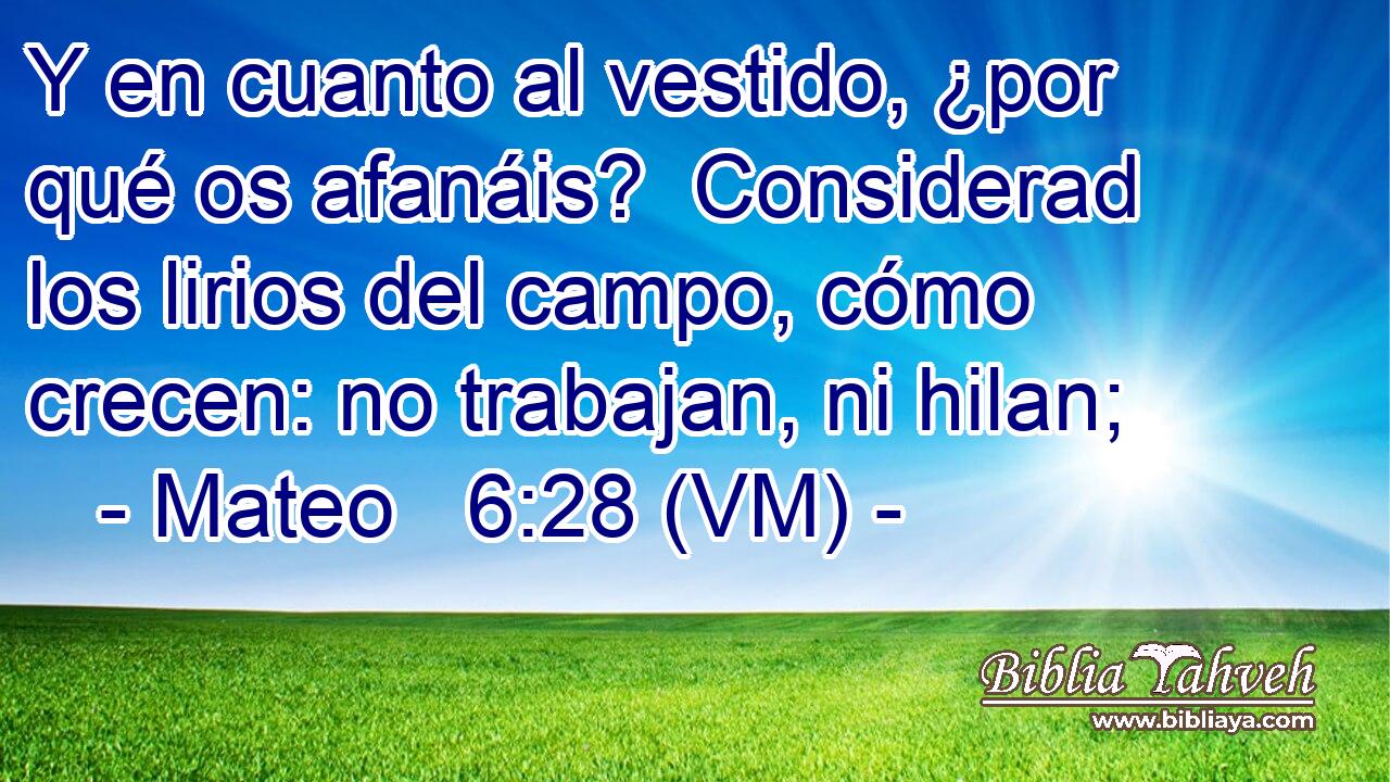  Y en cuanto al vestido, ¿por qué os afanáis?  Considerad los lirios del campo, cómo crecen: no trabajan, ni hilan; 