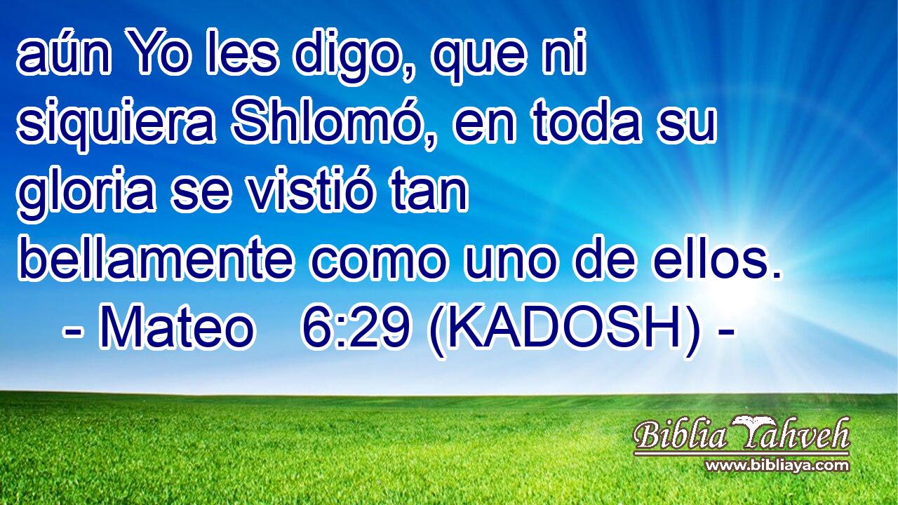  aún Yo les digo, que ni siquiera Shlomó, en toda su gloria se vistió tan bellamente como uno de ellos. 