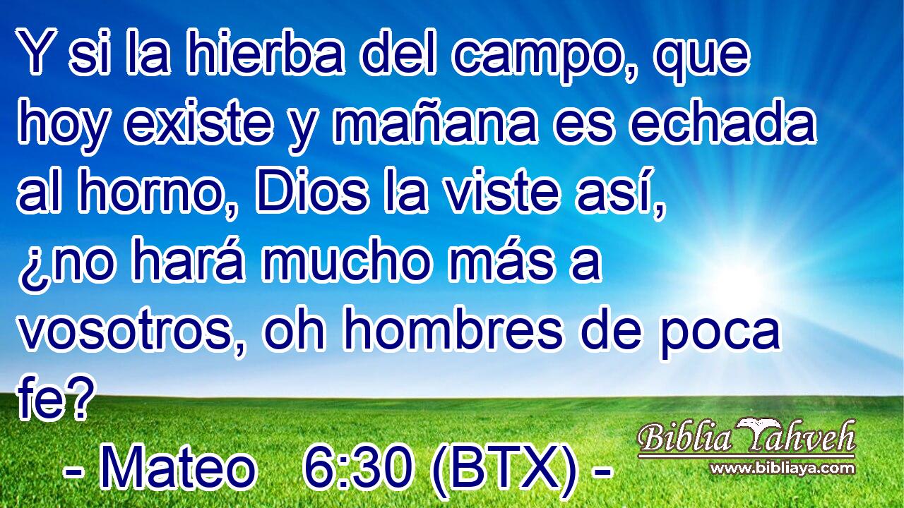 Y si la hierba del campo, que hoy existe y mañana es echada al horno, Dios la viste así, ¿no hará mucho más a vosotros, oh hombres de poca fe?