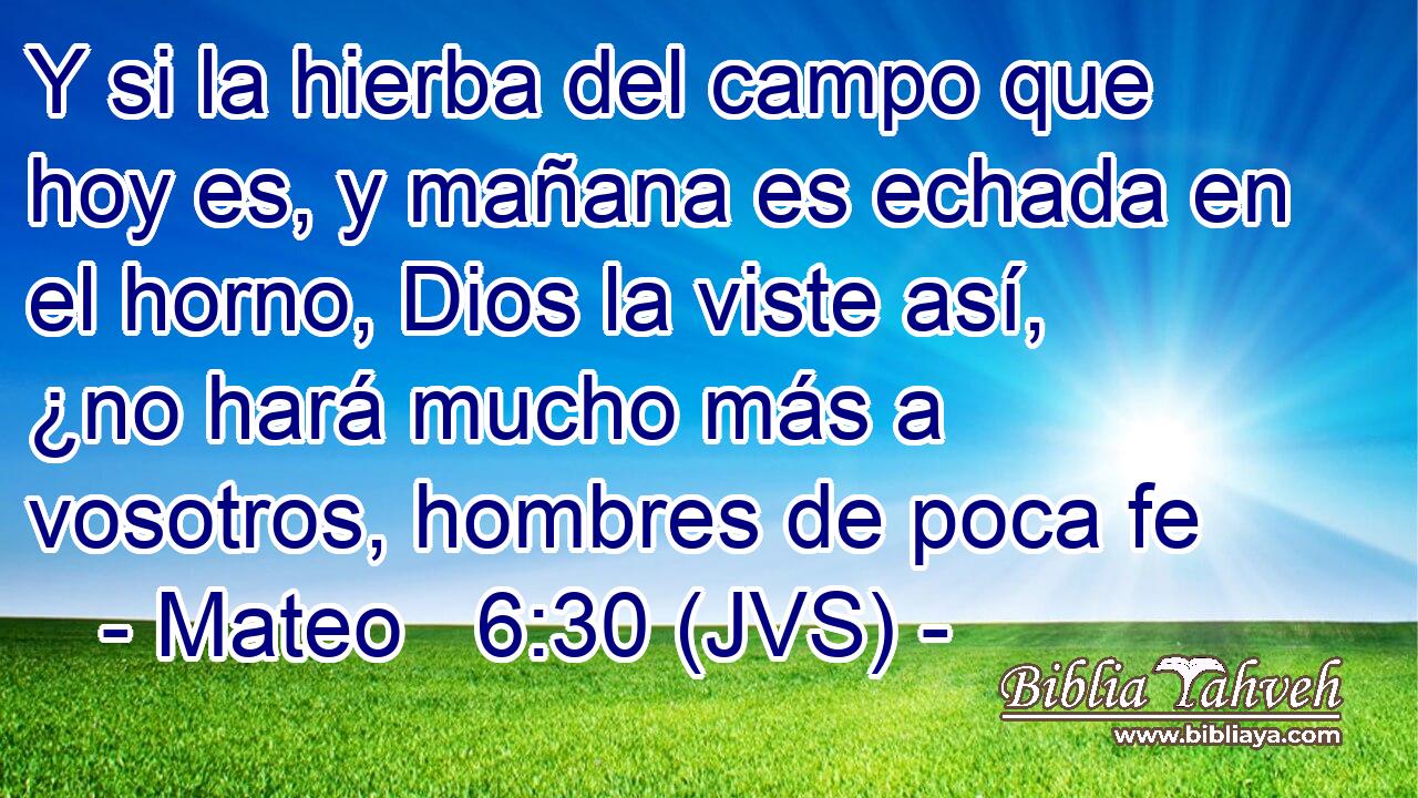 Y si la hierba del campo que hoy es, y mañana es echada en el horno, Dios la viste así, ¿no hará mucho más a vosotros, hombres de poca fe