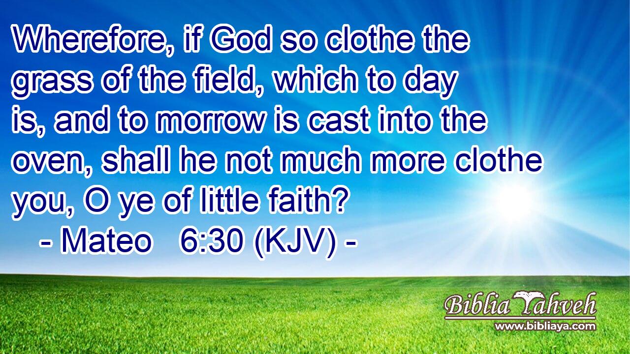 Wherefore, if God so clothe the grass of the field, which to day is, and to morrow is cast into the oven, shall he not much more clothe you, O ye of little faith?