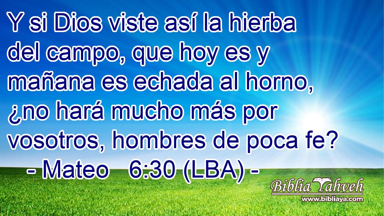 Y si Dios viste así la hierba del campo, que hoy es y mañana es echada al horno, ¿no hará mucho más por vosotros, hombres de poca fe?