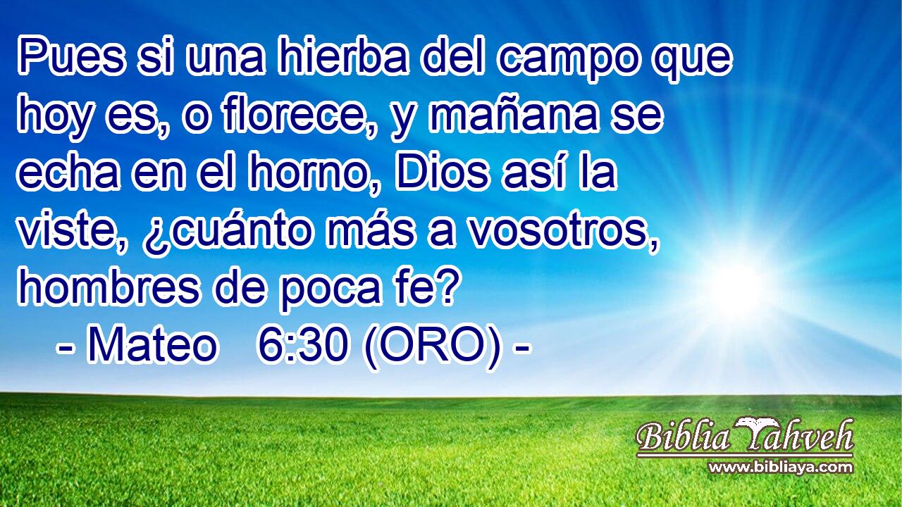  Pues si una hierba del campo que hoy es, o florece, y mañana se echa en el horno, Dios así la viste, ¿cuánto más a vosotros, hombres de poca fe? 