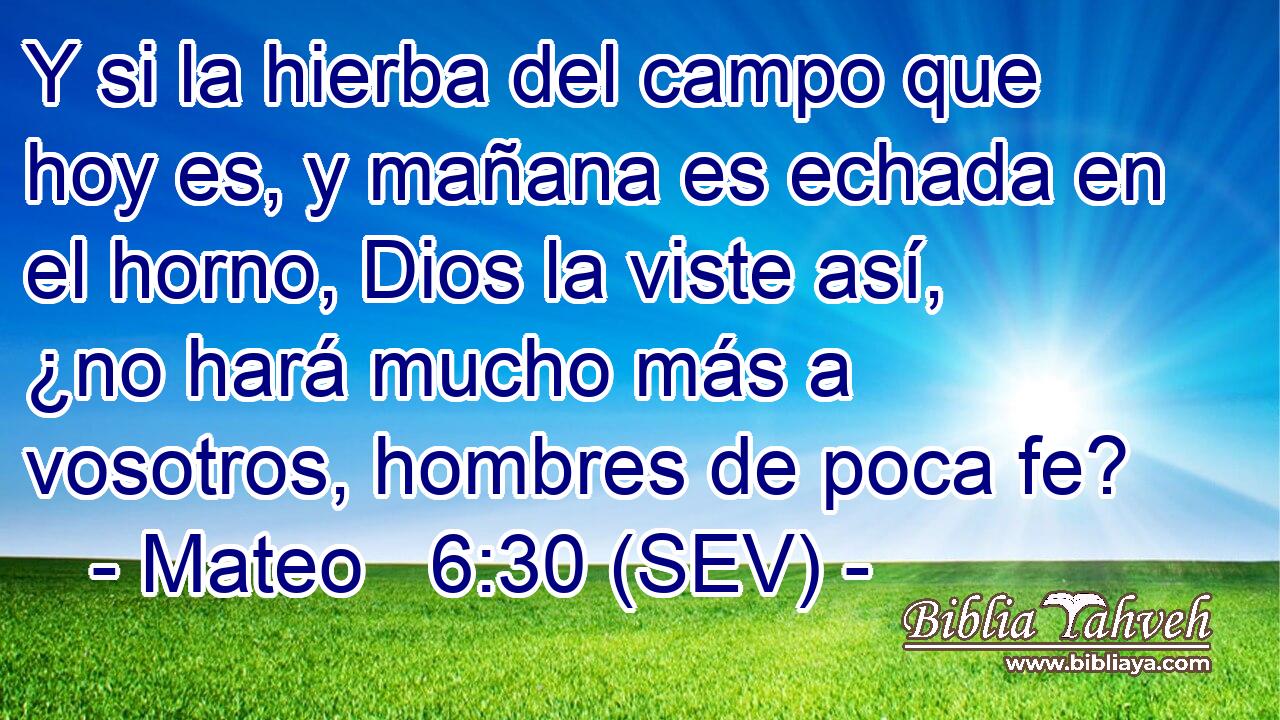 Y si la hierba del campo que hoy es, y mañana es echada en el horno, Dios la viste así, ¿no hará mucho más a vosotros, hombres de poca fe?