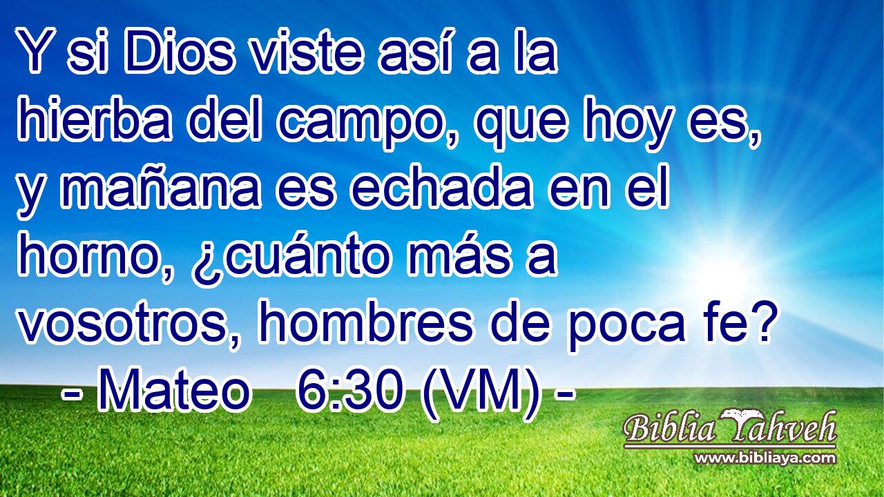  Y si Dios viste así a la hierba del campo, que hoy es, y mañana es echada en el horno, ¿cuánto más a vosotros, hombres de poca fe? 