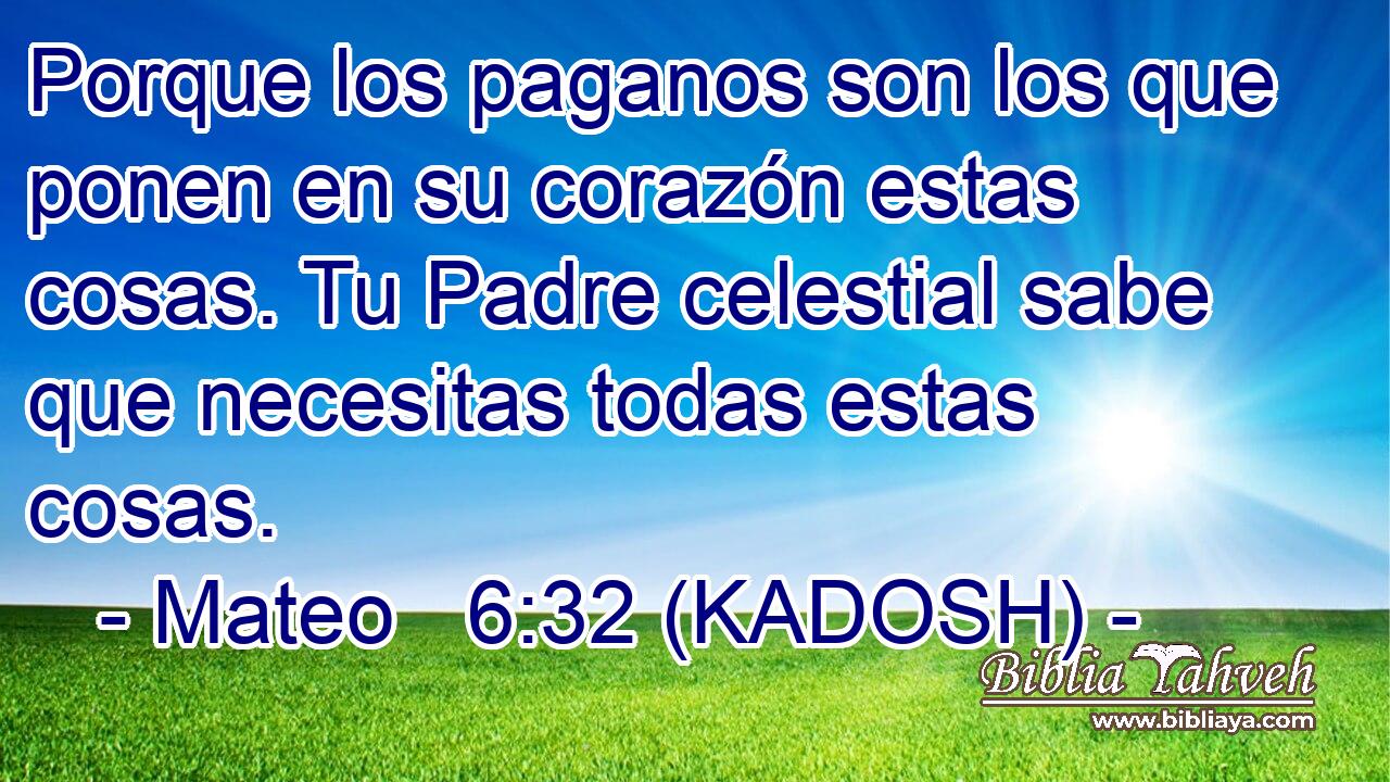 Porque los paganos son los que ponen en su corazón estas cosas. Tu Padre celestial sabe que necesitas todas estas cosas. 