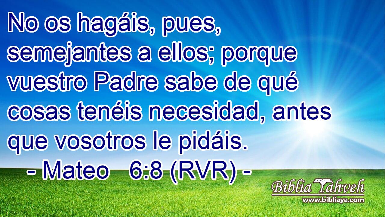 No os hagáis, pues, semejantes a ellos; porque vuestro Padre sabe de qué cosas tenéis necesidad, antes que vosotros le pidáis.