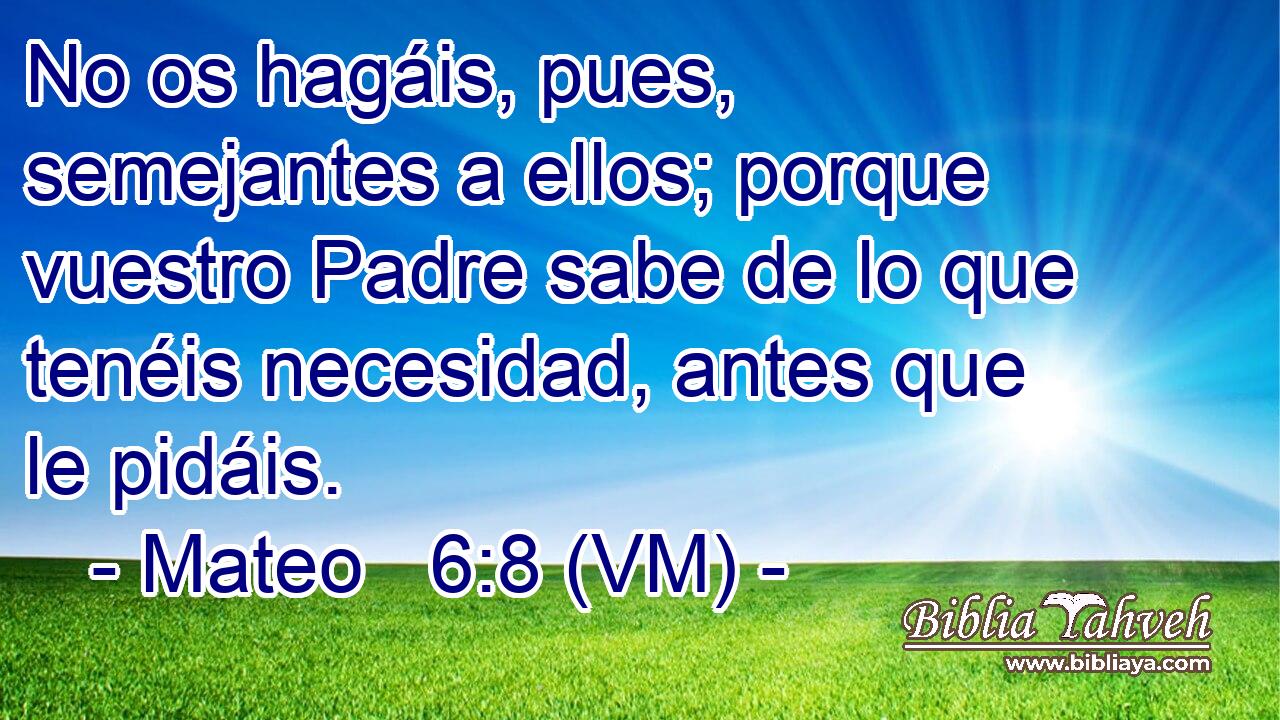  No os hagáis, pues, semejantes a ellos; porque vuestro Padre sabe de lo que tenéis necesidad, antes que le pidáis. 