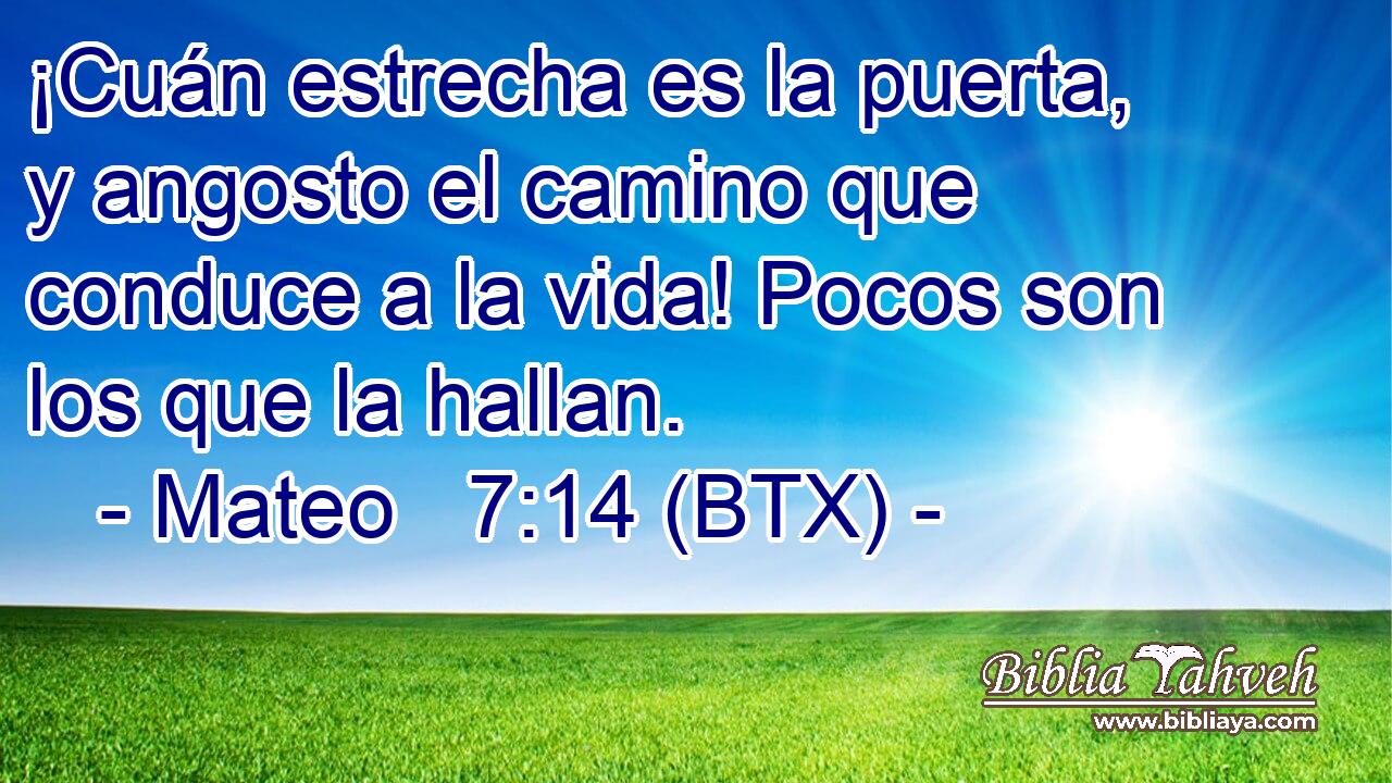 ¡Cuán estrecha es la puerta, y angosto el camino que conduce a la vida! Pocos son los que la hallan.