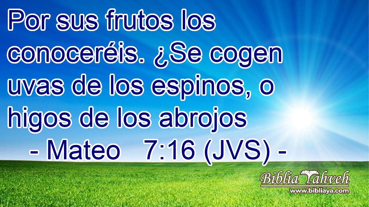 Por sus frutos los conoceréis. ¿Se cogen uvas de los espinos, o higos de los abrojos