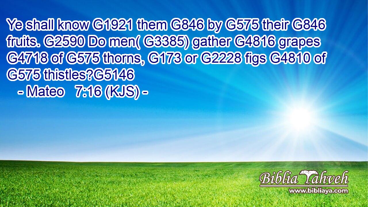 Ye shall know G1921 them G846 by G575 their G846 fruits. G2590 Do men( G3385) gather G4816 grapes G4718 of G575 thorns, G173 or G2228 figs G4810 of G575 thistles?G5146