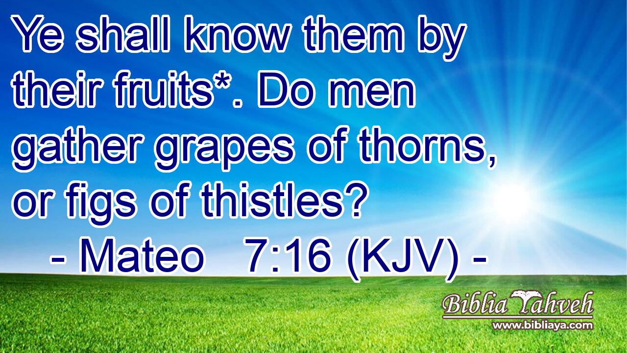 Ye shall know them by their fruits*. Do men gather grapes of thorns, or figs of thistles?