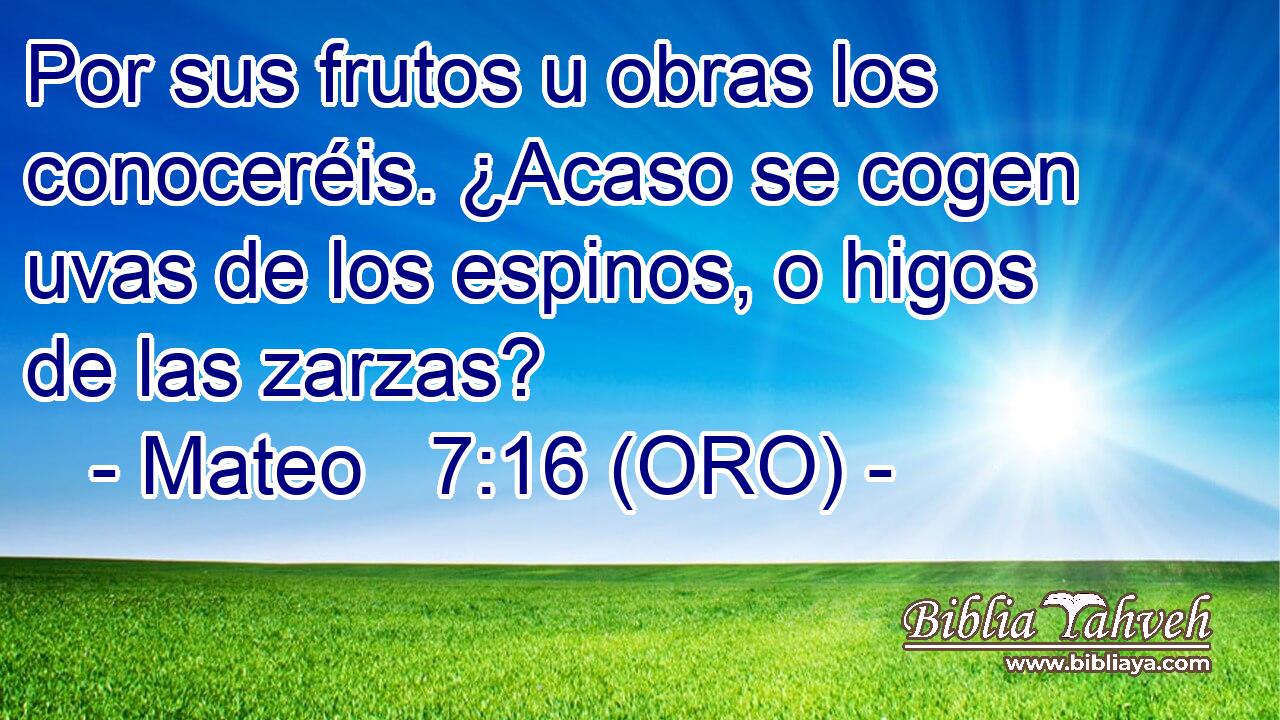  Por sus frutos u obras los conoceréis. ¿Acaso se cogen uvas de los espinos, o higos de las zarzas? 