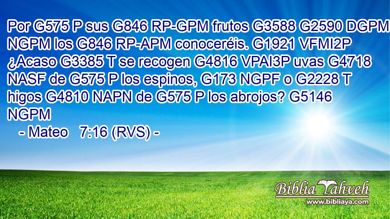 Por G575 P sus G846 RP-GPM frutos G3588 G2590 DGPM NGPM los G846 RP-APM conoceréis. G1921 VFMI2P ¿Acaso G3385 T se recogen G4816 VPAI3P uvas G4718 NASF de G575 P los espinos, G173 NGPF o G2228 T higos G4810 NAPN de G575 P los abrojos? G5146 NGPM 