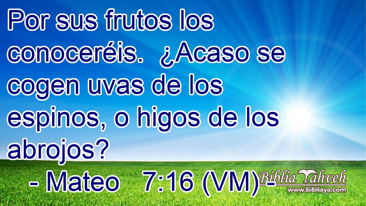  Por sus frutos los conoceréis.  ¿Acaso se cogen uvas de los espinos, o higos de los abrojos? 