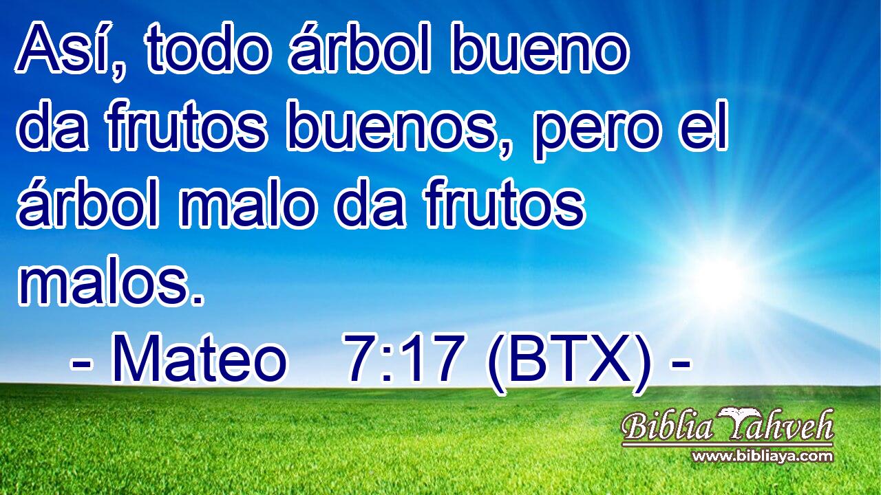 Así, todo árbol bueno da frutos buenos, pero el árbol malo da frutos malos.