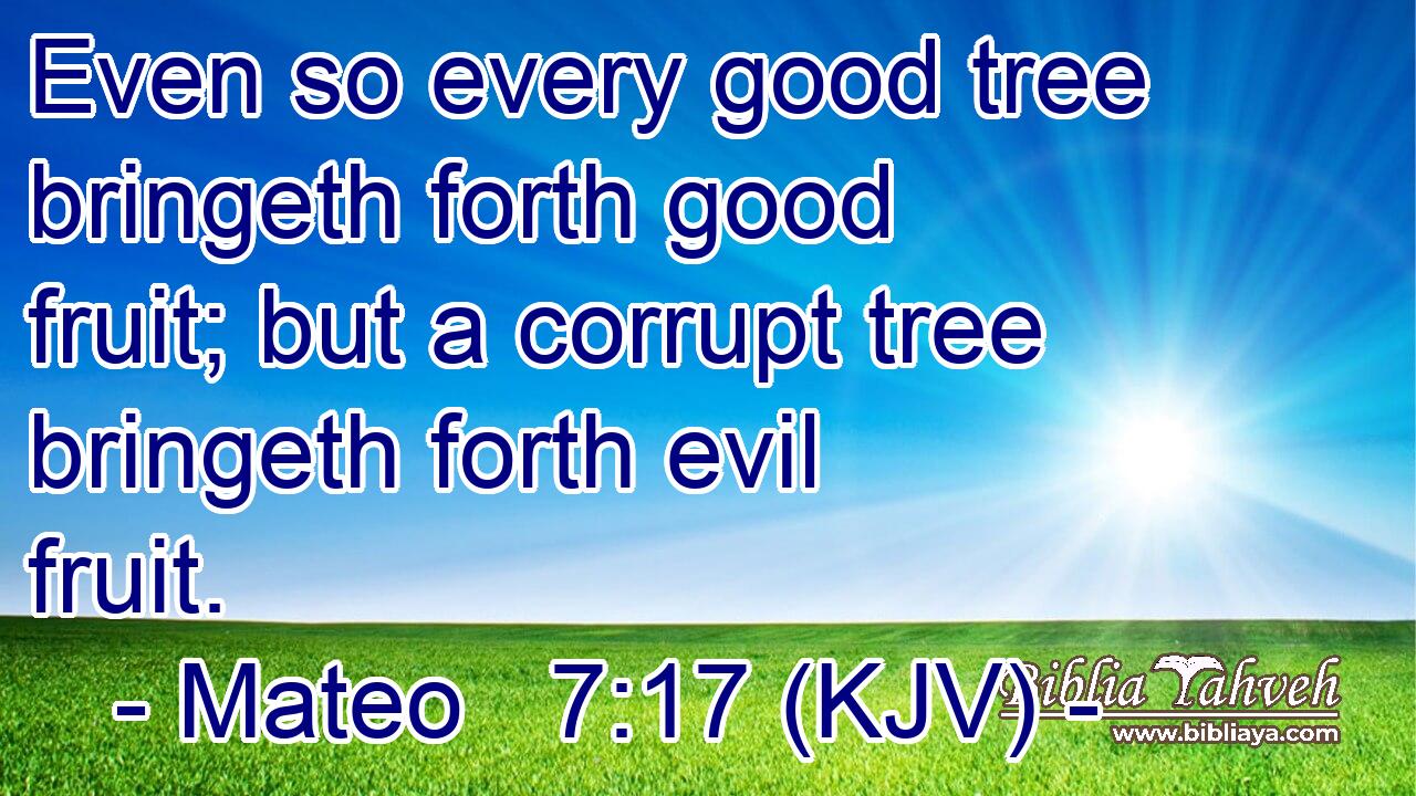 Even so every good tree bringeth forth good fruit; but a corrupt tree bringeth forth evil fruit.