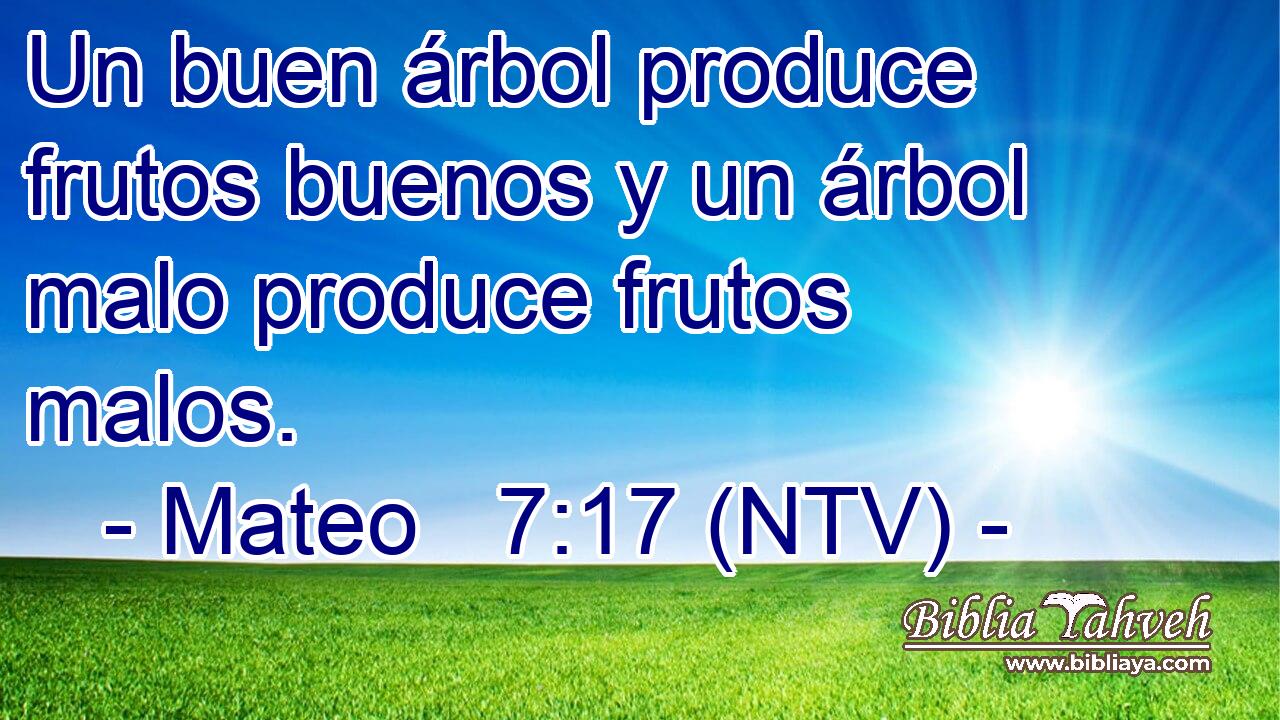 Un buen árbol produce frutos buenos y un árbol malo produce frutos malos.
