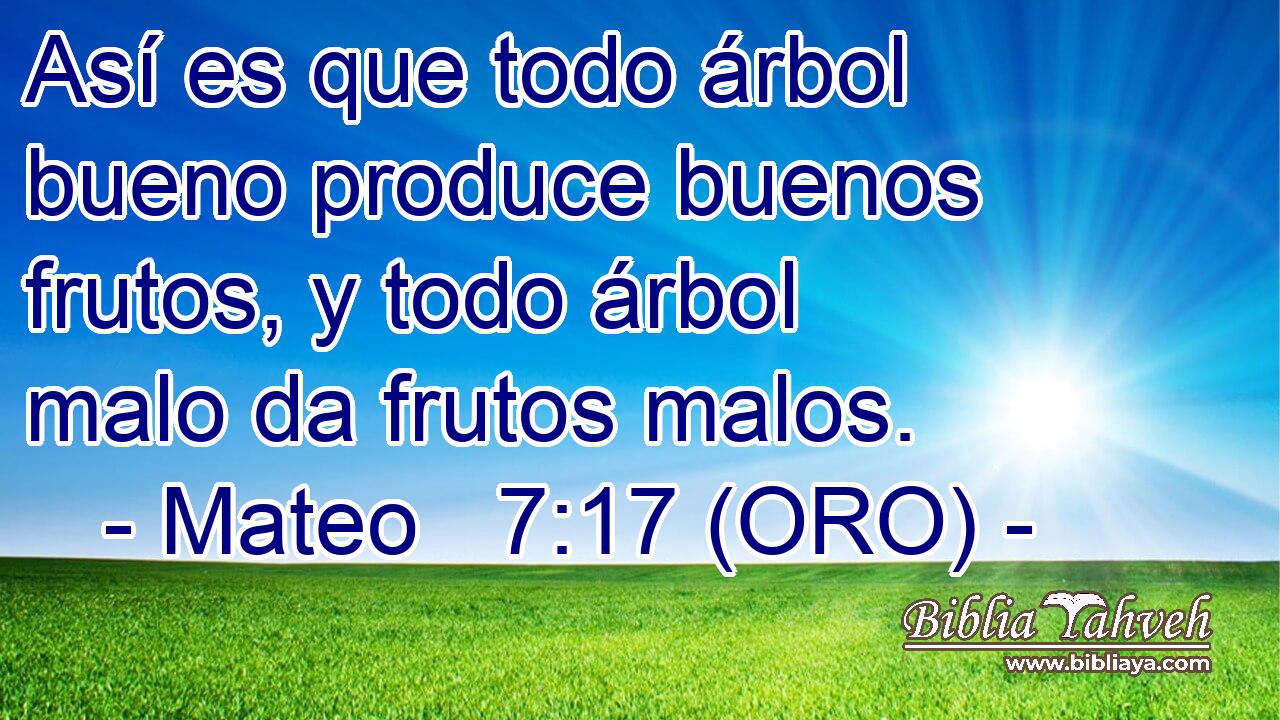  Así es que todo árbol bueno produce buenos frutos, y todo árbol malo da frutos malos. 