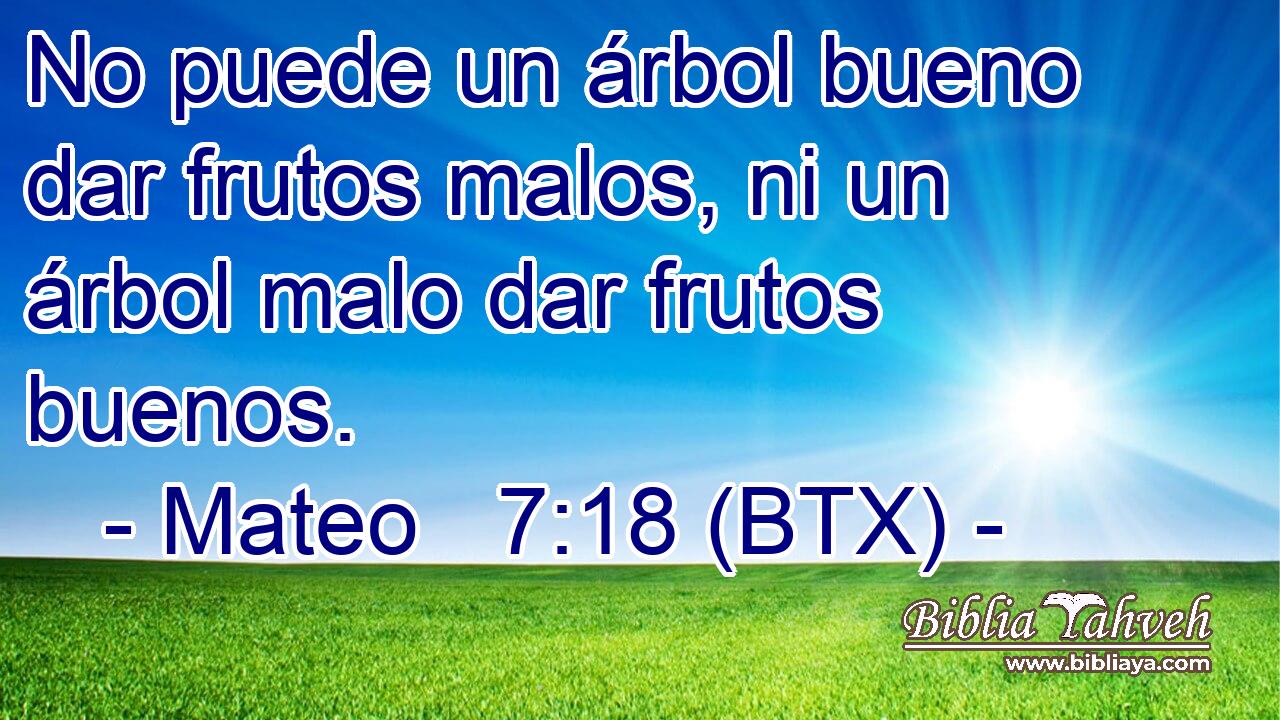 No puede un árbol bueno dar frutos malos, ni un árbol malo dar frutos buenos.