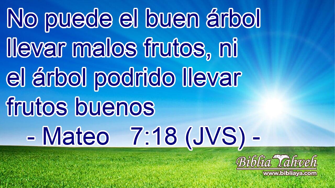 No puede el buen árbol llevar malos frutos, ni el árbol podrido llevar frutos buenos
