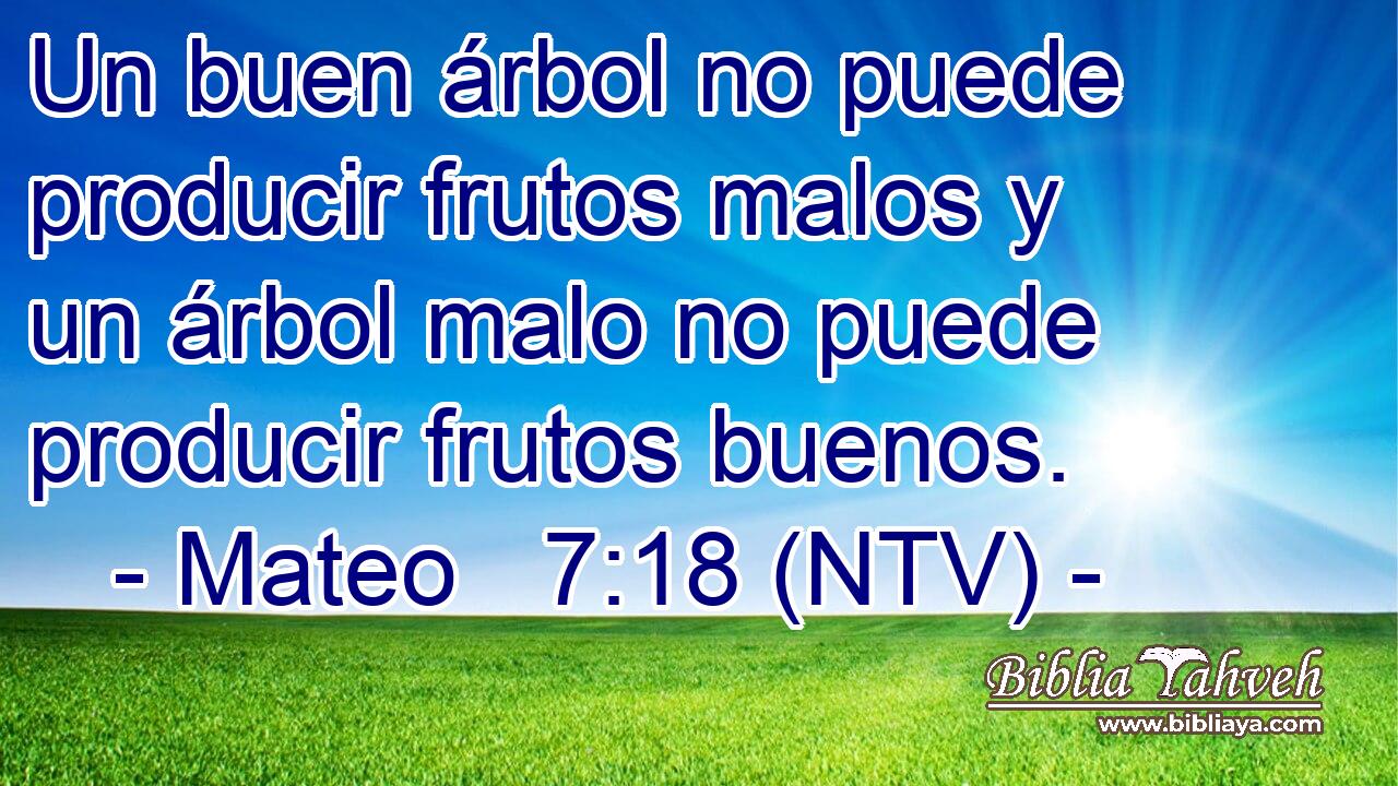 Un buen árbol no puede producir frutos malos y un árbol malo no puede producir frutos buenos.