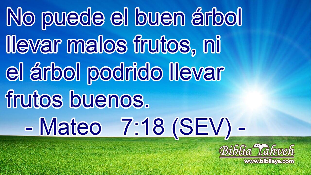 No puede el buen árbol llevar malos frutos, ni el árbol podrido llevar frutos buenos.