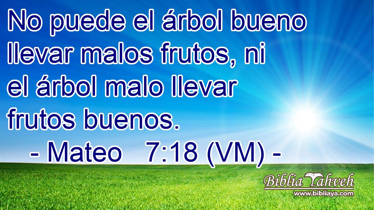  No puede el árbol bueno llevar malos frutos, ni el árbol malo llevar frutos buenos. 