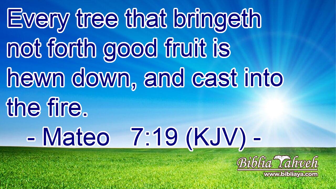 Every tree that bringeth not forth good fruit is hewn down, and cast into the fire.