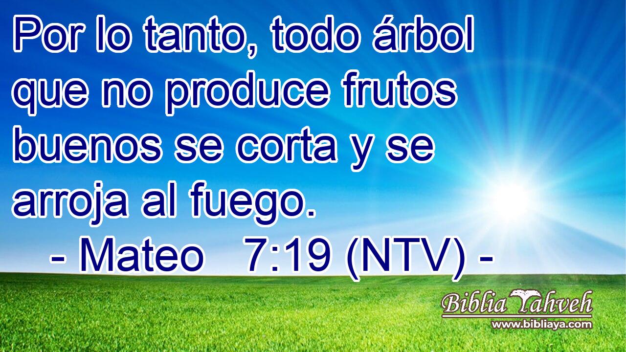 Por lo tanto, todo árbol que no produce frutos buenos se corta y se arroja al fuego.