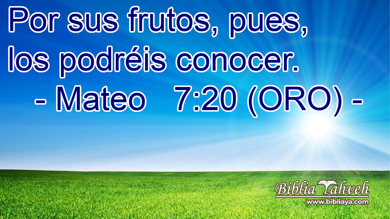  Por sus frutos, pues, los podréis conocer. 