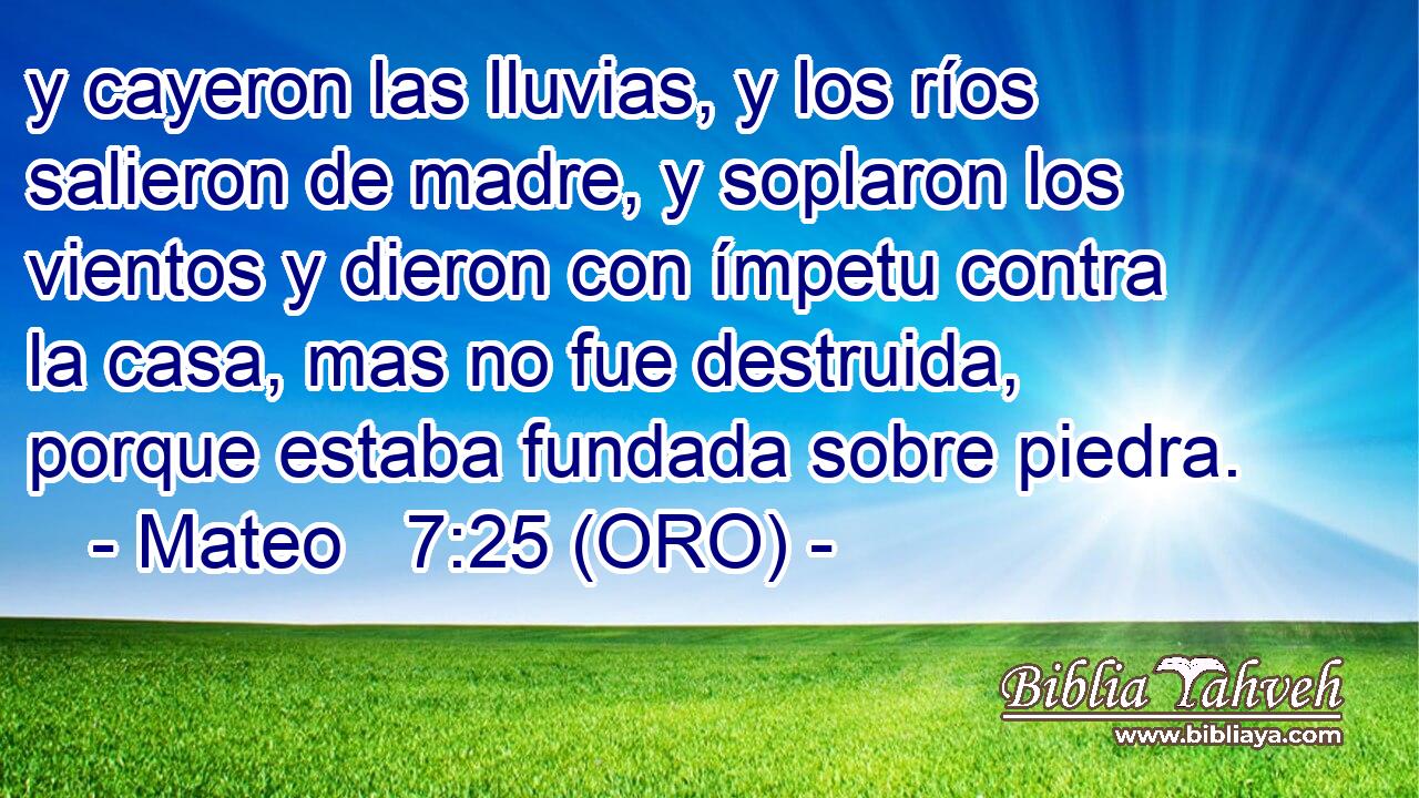  y cayeron las lluvias, y los ríos salieron de madre, y soplaron los vientos y dieron con ímpetu contra la casa, mas no fue destruida, porque estaba fundada sobre piedra. 