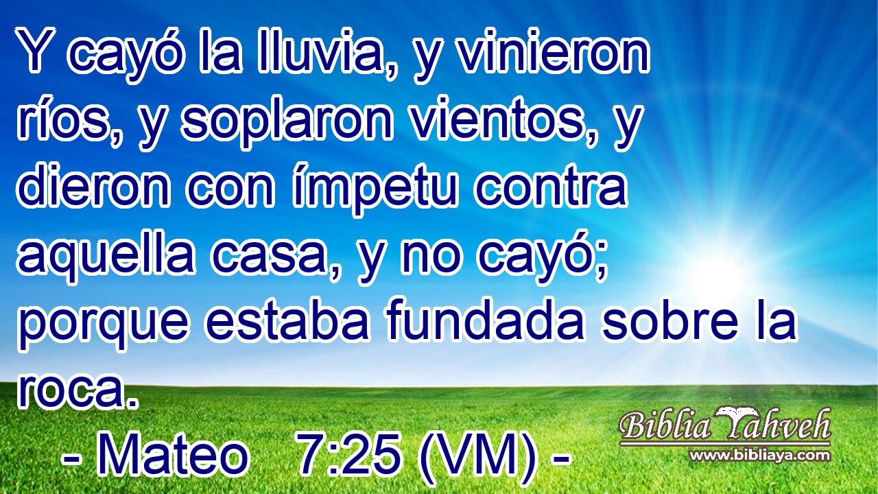  Y cayó la lluvia, y vinieron ríos, y soplaron vientos, y dieron con ímpetu contra aquella casa, y no cayó; porque estaba fundada sobre la roca. 