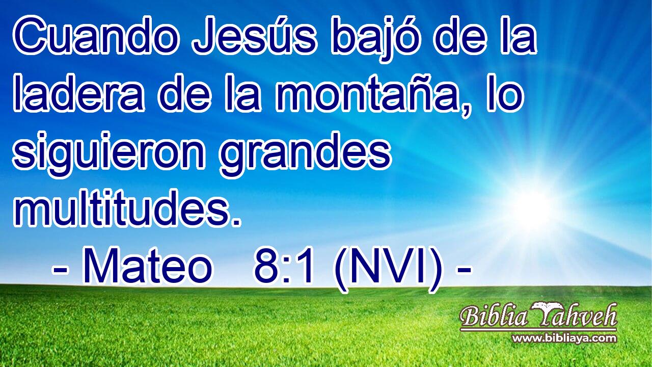  Cuando Jesús bajó de la ladera de la montaña, lo siguieron grandes multitudes. 