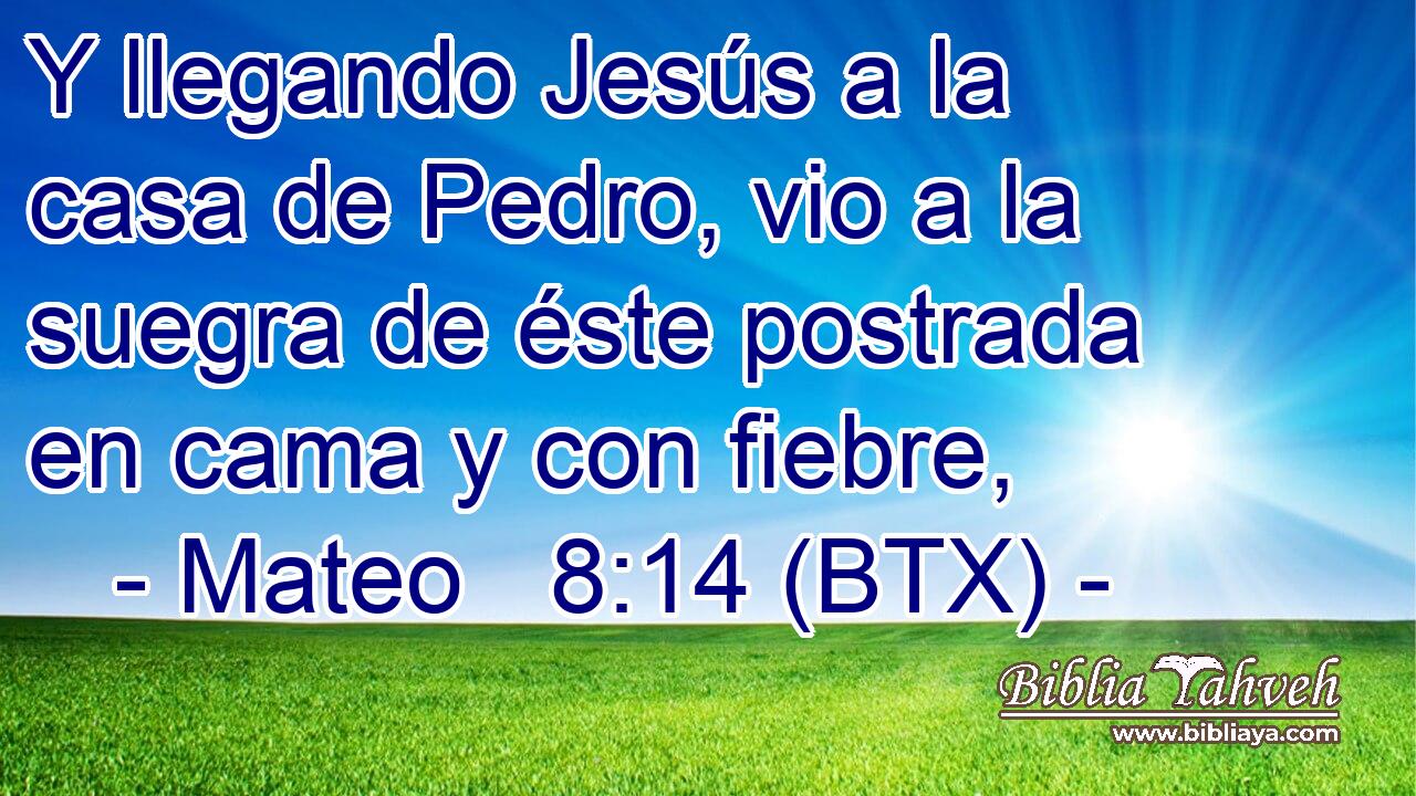 Y llegando Jesús a la casa de Pedro, vio a la suegra de éste postrada en cama y con fiebre,