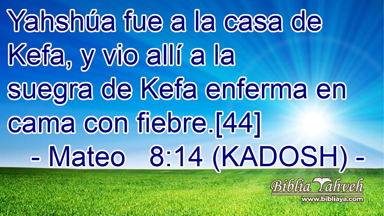  Yahshúa fue a la casa de Kefa, y vio allí a la suegra de Kefa enferma en cama con fiebre.[44] 