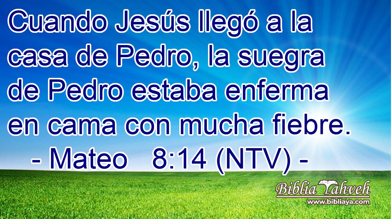 Cuando Jesús llegó a la casa de Pedro, la suegra de Pedro estaba enferma en cama con mucha fiebre.