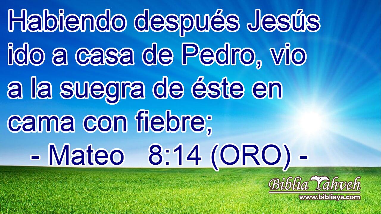  Habiendo después Jesús ido a casa de Pedro, vio a la suegra de éste en cama con fiebre; 