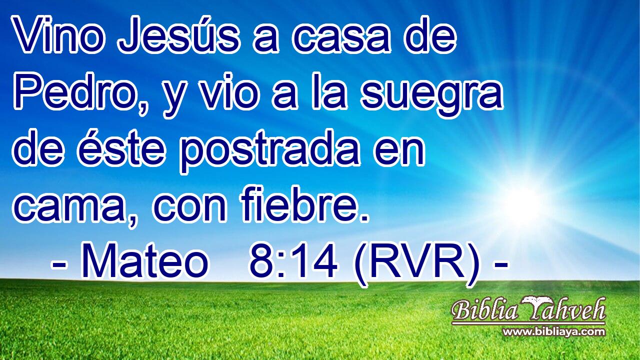 Vino Jesús a casa de Pedro, y vio a la suegra de éste postrada en cama, con fiebre.