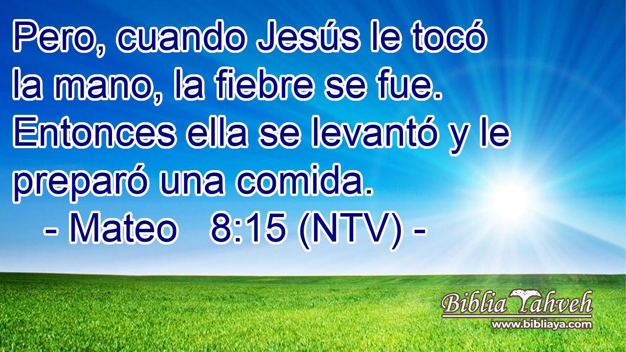 Pero, cuando Jesús le tocó la mano, la fiebre se fue. Entonces ella se levantó y le preparó una comida.