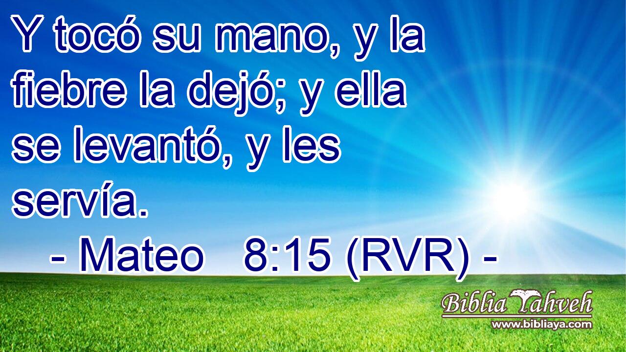 Y tocó su mano, y la fiebre la dejó; y ella se levantó, y les servía.