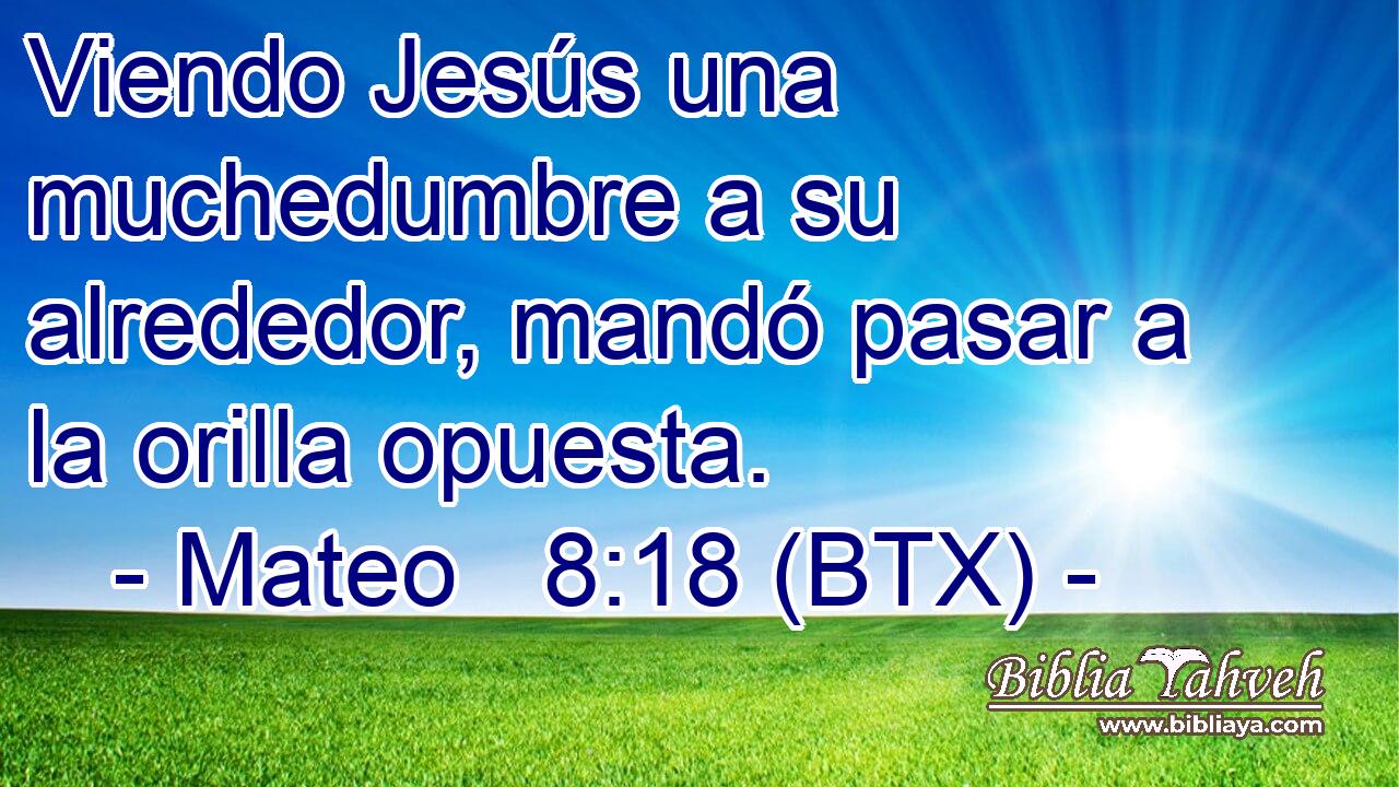 Viendo Jesús una muchedumbre a su alrededor, mandó pasar a la orilla opuesta.
