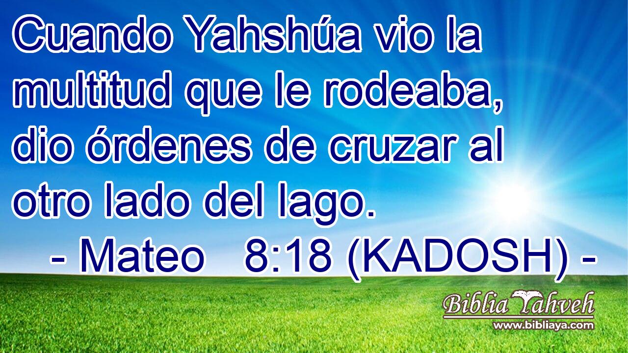  Cuando Yahshúa vio la multitud que le rodeaba, dio órdenes de cruzar al otro lado del lago. 
